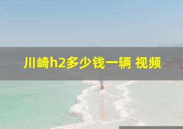 川崎h2多少钱一辆 视频